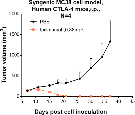 Anti-human CTLA-4 / CD152  (Ipilimumab Biosimilar)