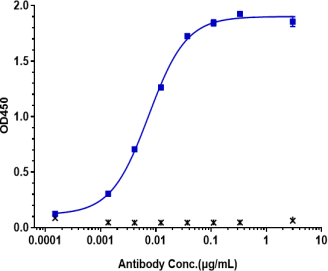Anti-human ERBB2 / HER2 / CD340 (Disitamab vedotin Biosimilar)