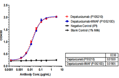 Anti-human ERBB1 / EGFR / HER1 (Depatuxizumab-MMAF Biosimilar)