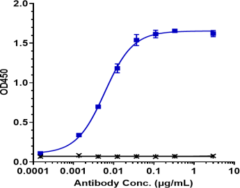 Anti-human TNFRSF8 / CD30 (Brentuximab vedotin Biosimilar)