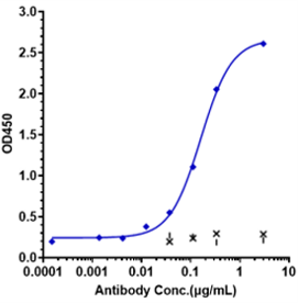 Anti-human ROR2 (Ozuriftamab vedotin Biosimilar)