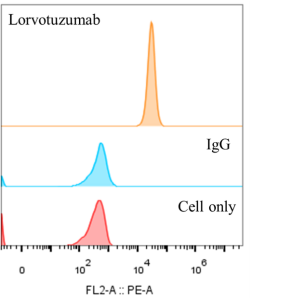 Anti-human NCAM1 / CD56 (Lorvotuzumab Biosimilar)