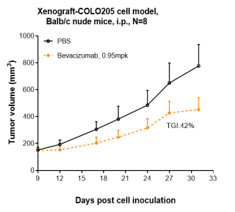 Anti-human VEGF (Bevacizumab Biosimilar)