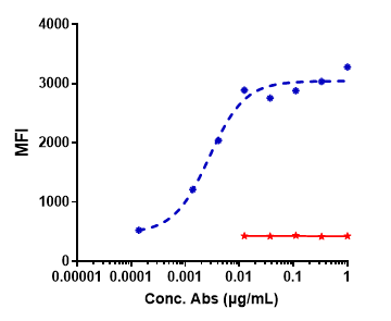 Anti-human ROR1 (Zilovertamab Biosimilar)