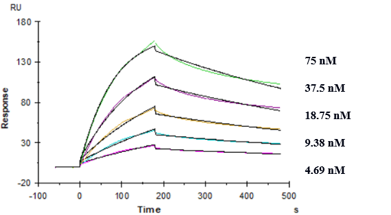 Anti-human TREM2 (PY314 Biosimilar)