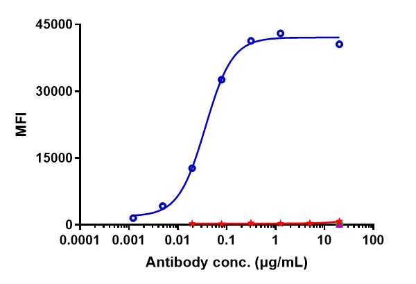 Anti-human TNFSF7 / CD27L / CD70 (Cusatuzumab Biosimilar)