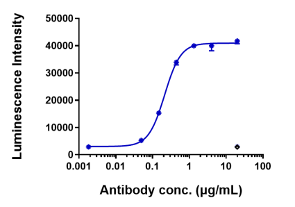 Anti-human FGFR2 / CD332 (Bemarituzumab Biosimilar)