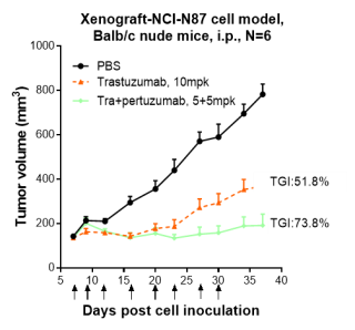 ERBB2/CD340 rHuz IgG1k mAb (Ref: Pertuzumab)