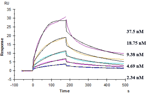 Anti-human TREM2 (PY314 Biosimilar)