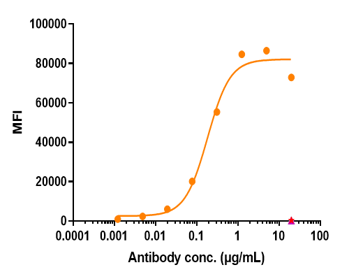 Anti-human CD79b (Iladatuzumab vedotin Biosimilar)