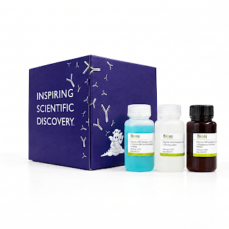 Bioss HRP polymer kit and packaging; contents and labels vary by product.